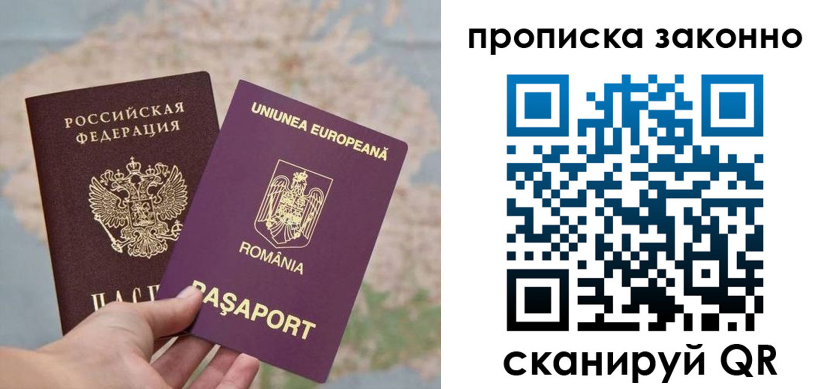 прописка гарантия в Оренбурге
